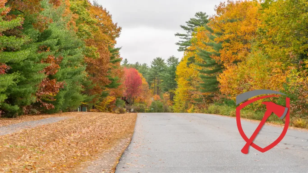 Pulaski Pest Control - Vermont Extermination Services Williston Vermont Pest Control